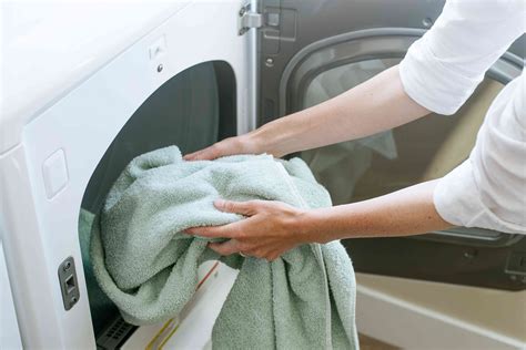 puppies are put in laundry machines in china